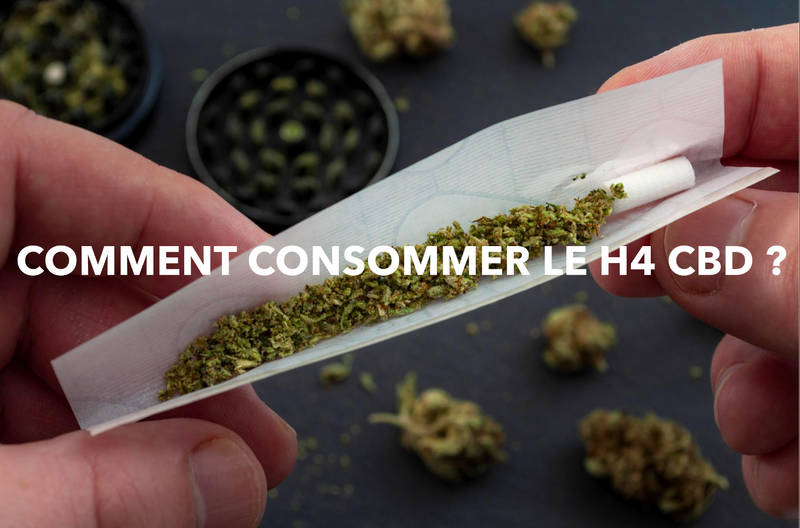 Comment consommer le H4 CBD ?