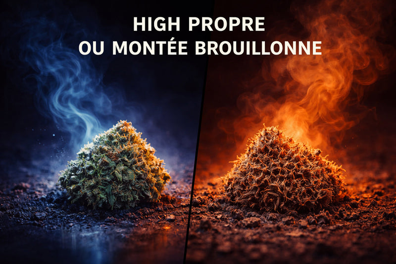 High propre ou montée brouillonne : ce que la composition change vraiment