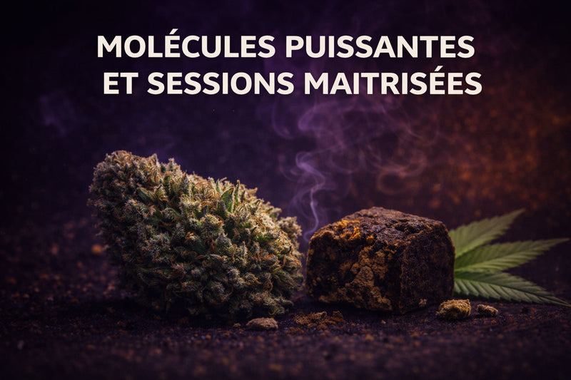 Molécules puissantes et sessions maîtrisées : comment éviter la surdose de confiance