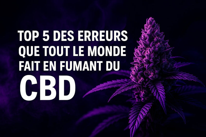 Top 5 des erreurs que tout le monde fait en fumant du CBD