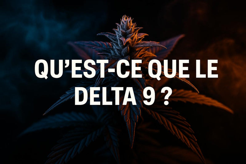 Qu’est-ce que le Delta 9 ?