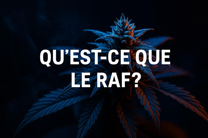 Qu'est-ce que le RAF ?
