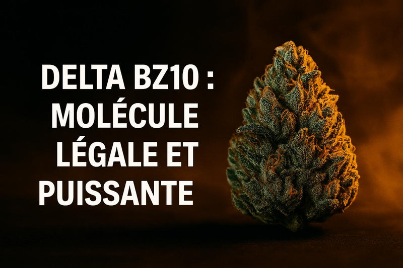 Delta BZ10 : molécule légale et puissante