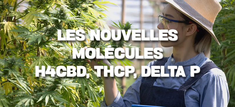 Les nouvelles molécules H4CBD, THCP, Delta P