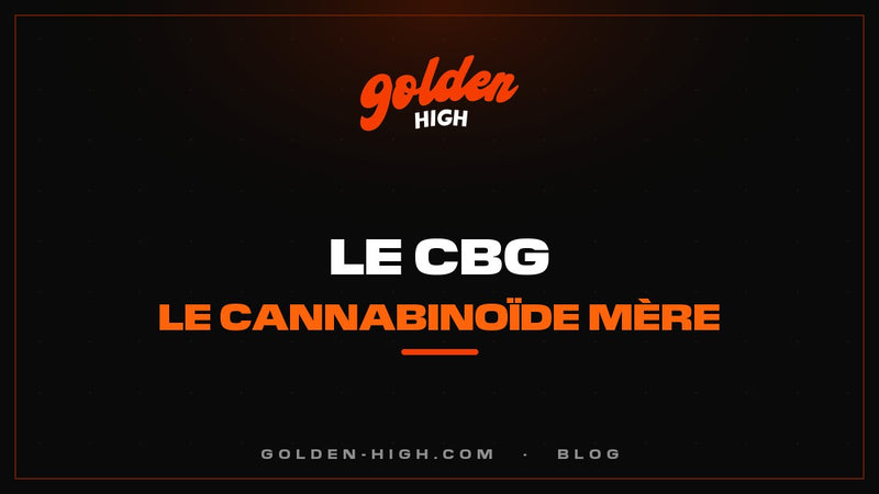 CBG (cannabigérol) : c'est quoi, effets et différences avec le CBD