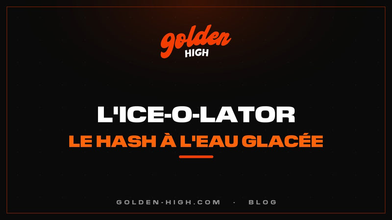 Ice-o-lator : c'est quoi le bubble hash et que veut dire full melt