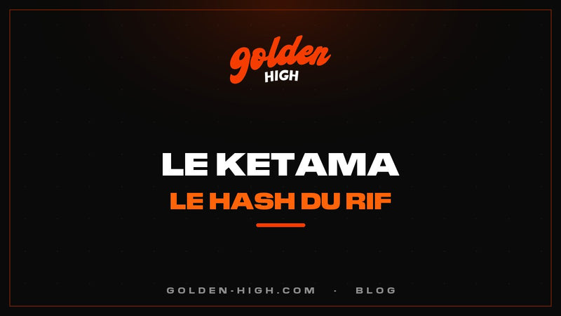 Ketama : l'histoire du hash du Rif, du kif aux résines modernes