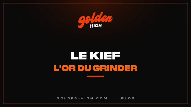 Kief : c'est quoi, comment le récupérer et bien le conserver