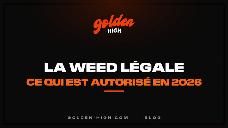 Weed légale en France : ce qui est autorisé (et interdit) en 2026