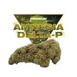 Amnesia Delta-P Nouvelle Formule – Fleur 12 %