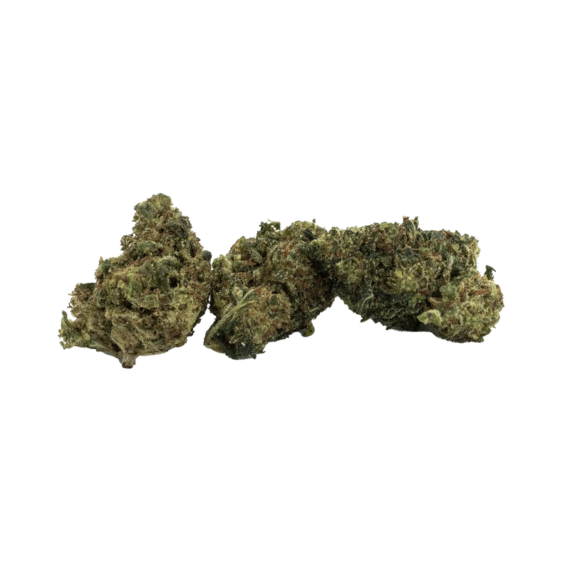 Bruce Banner H4