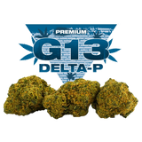 G13 Delta P