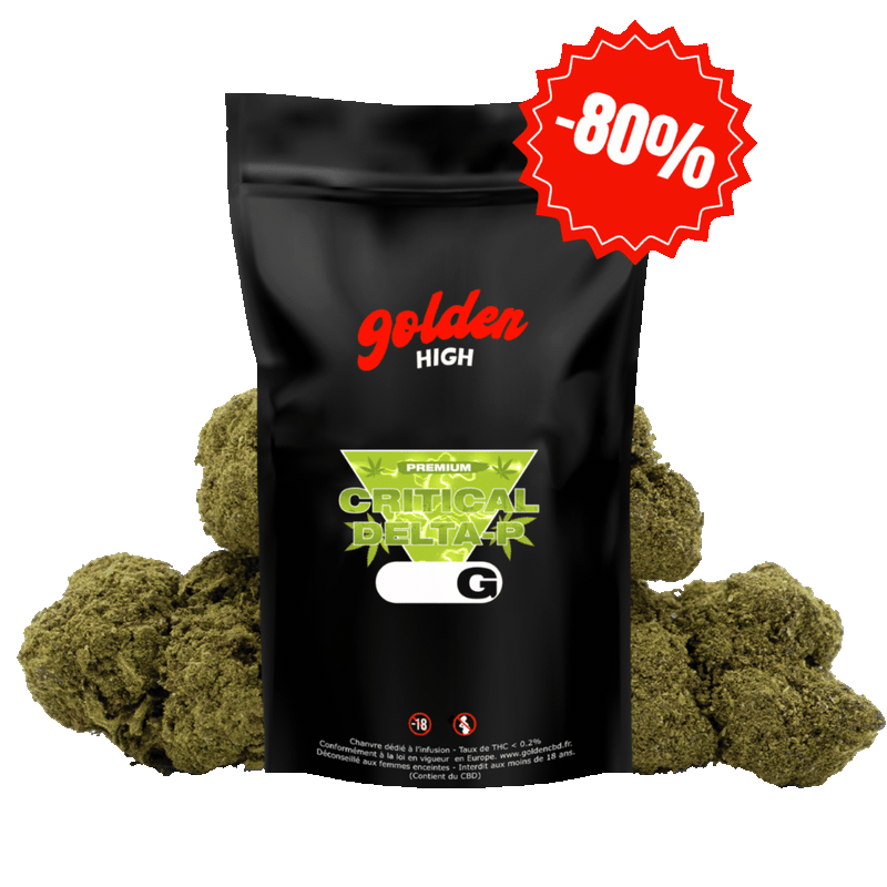 Critical Delta-P 13% – Nouvelle Formule | Fleur CBD Premium Golden High