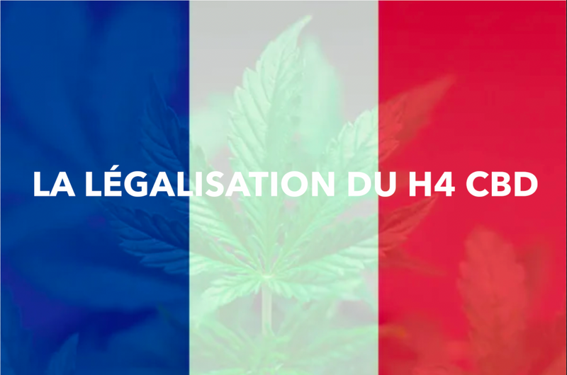 La légalisation du H4 CBD