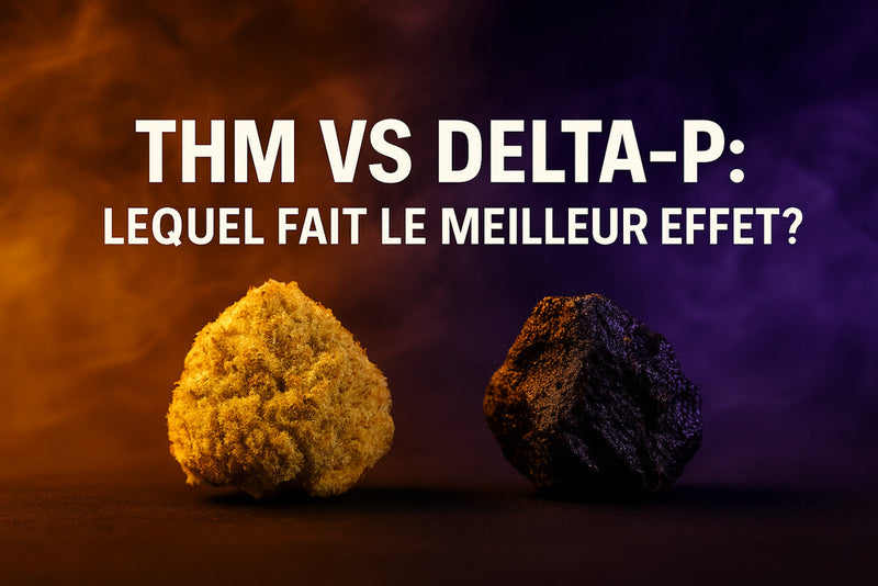 THM vs Delta-P : lequel fait le meilleur effet ?