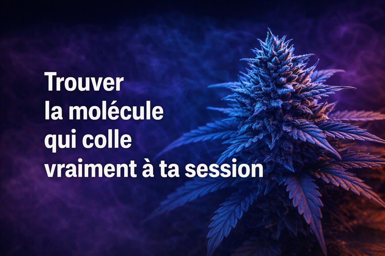 Trouver la molécule qui colle vraiment à ta session