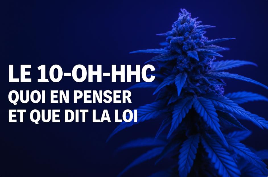 10-OH-HHC : que faut-il savoir sur cette nouvelle molécule ?