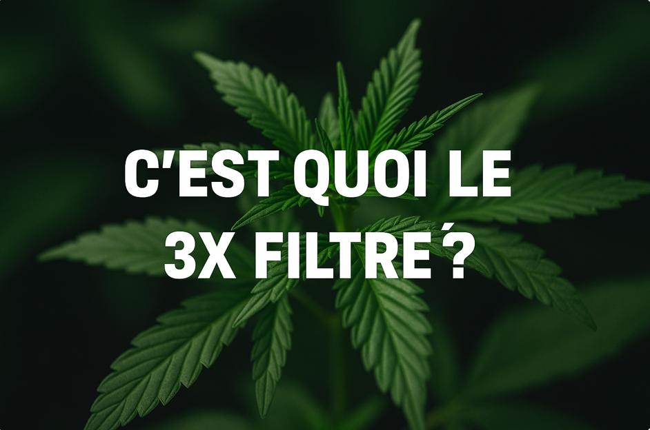 C'est quoi le 3X Filtré ? Une nouvelle référence de pureté
