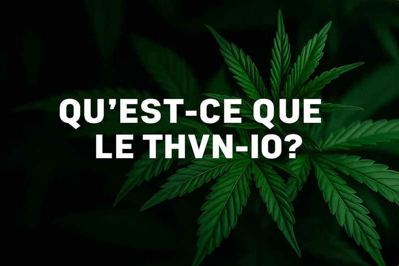 THV-N10 : le nouveau cannabinoïde qui fait parler de lui