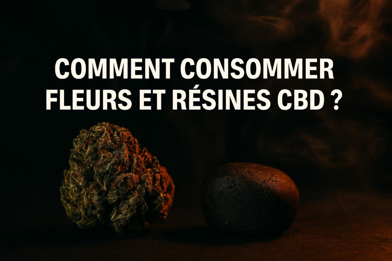 Comment consommer fleurs et résines CBD ?