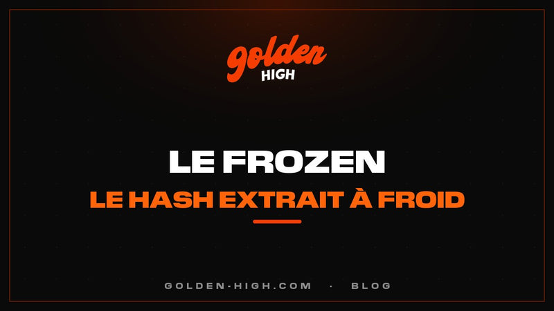 Frozen drogue : c'est quoi le frozen hash, et est-ce légal ?