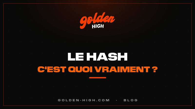 Shit (drogue) : c'est quoi le hash, et comment est-il fabriqué ?
