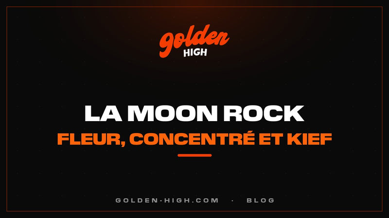 Moon Rock : c'est quoi, effets, taux et comment la fumer