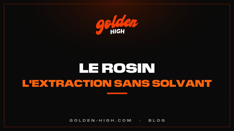 Rosin : c'est quoi, comment on le fait, et live rosin vs hash rosin
