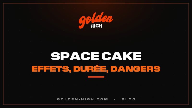 Space cake : effets, délai, durée et dangers à connaître