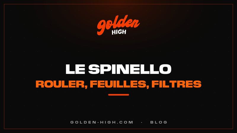 Spinello : c'est quoi, comment le rouler et que dit la loi italienne