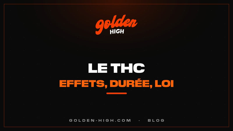 THC : c'est quoi, effets, durée et ce que dit la loi en Italie