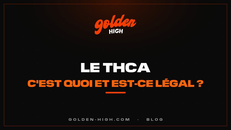 THCA : c'est quoi, différence avec le THC et statut en France