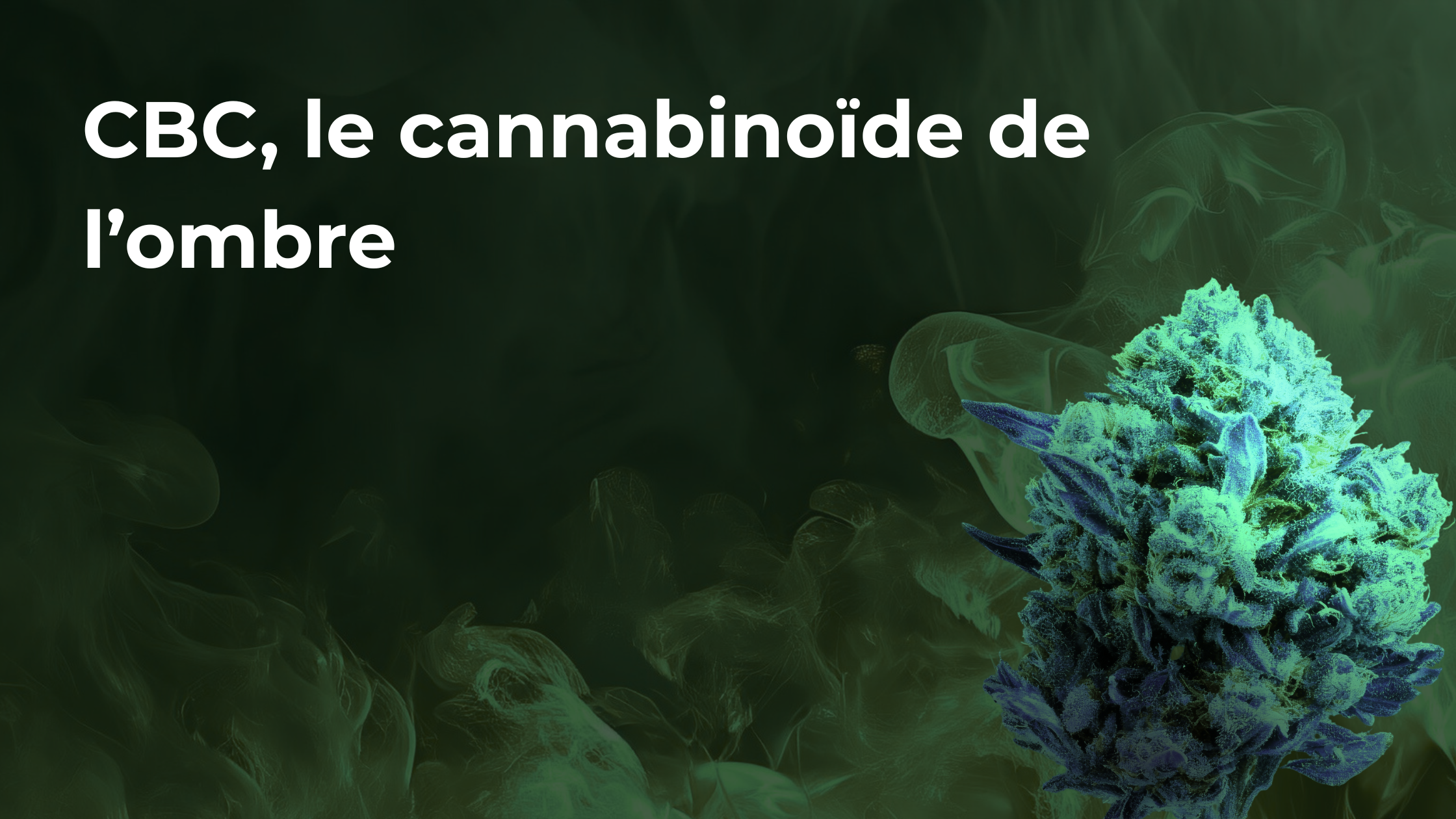 CBC, le cannabinoïde de l’ombre