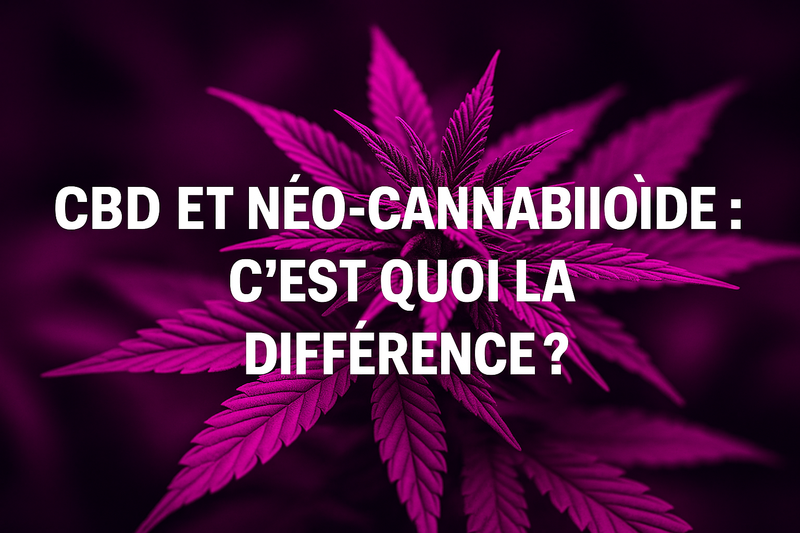 CBD et néo-cannabinoïde : c’est quoi la différence ?