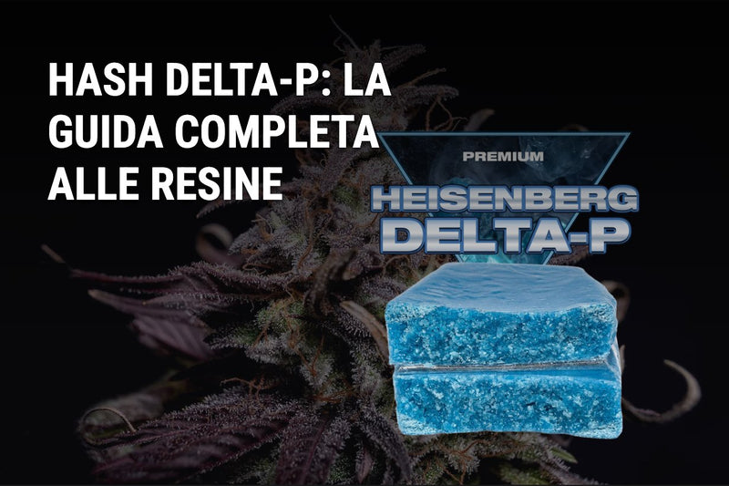 Hash Delta-P : le guide complet des résines
