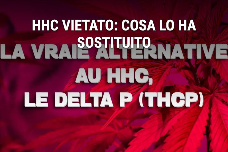 HHC interdit : qu'est-ce qui l'a remplacé
