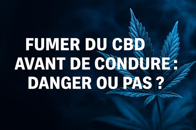 Fumer du CBD avant de conduire : danger ou pas ?