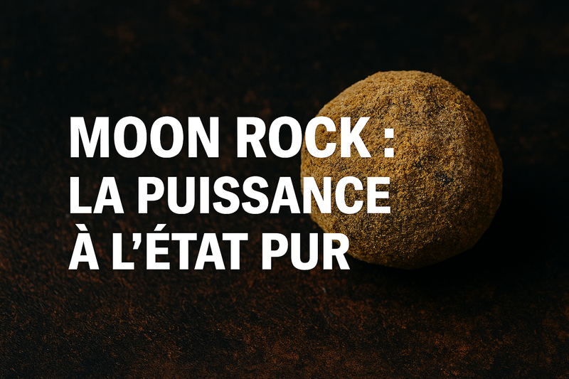 Moon Rock : la puissance à l’état pur