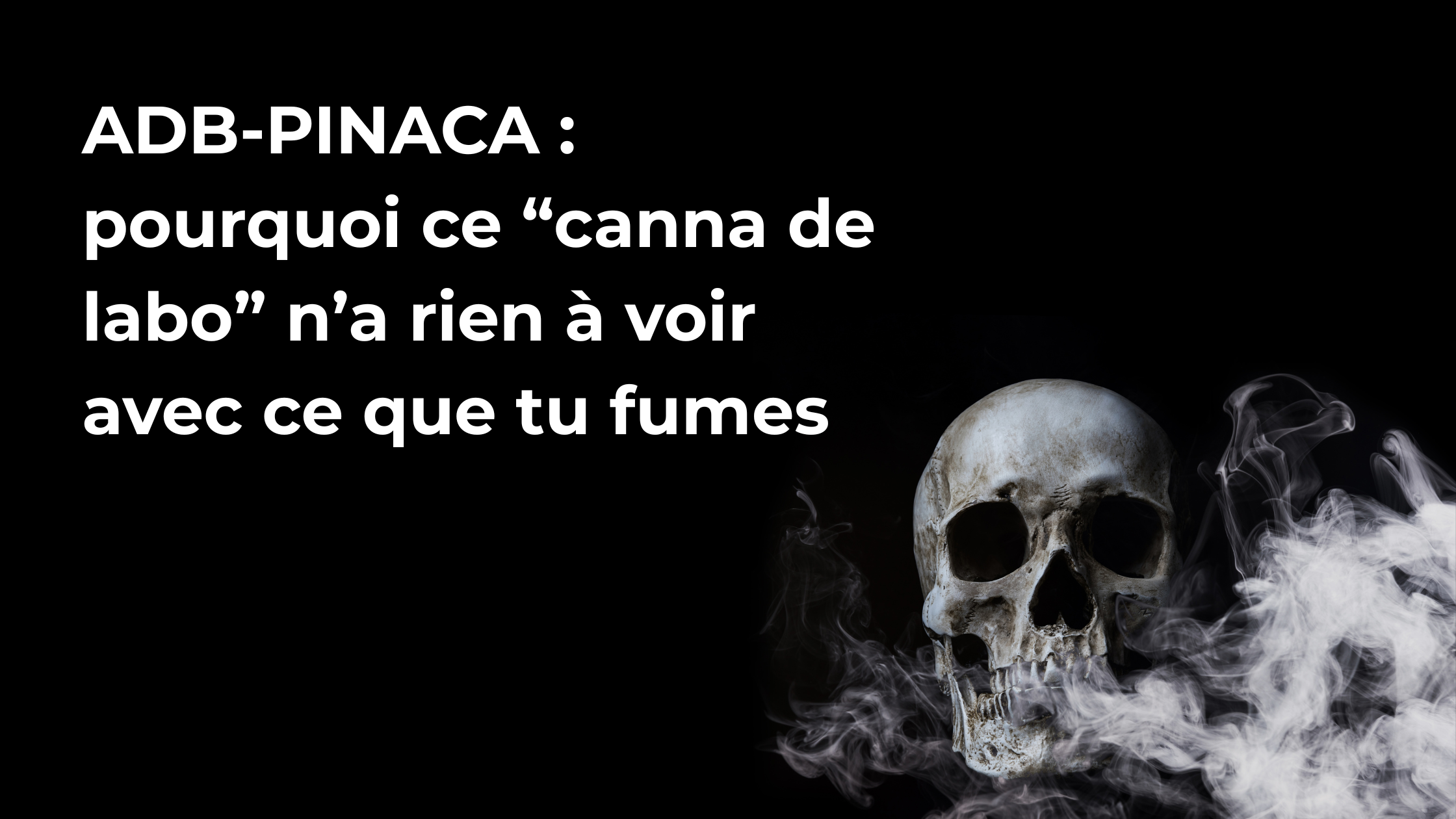 ADB-PINACA : pourquoi ce “canna de labo” n’a rien à voir avec ce que tu fumes