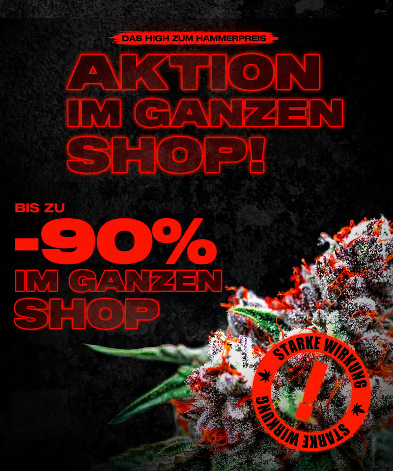 Aktion im ganzen Shop, bis zu -90%
