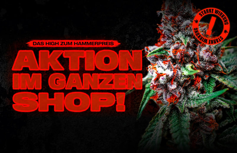 Aktion im ganzen Shop, bis zu -90%