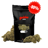 Amnesia Delta-P Nouvelle Formule – Fleur 12 %