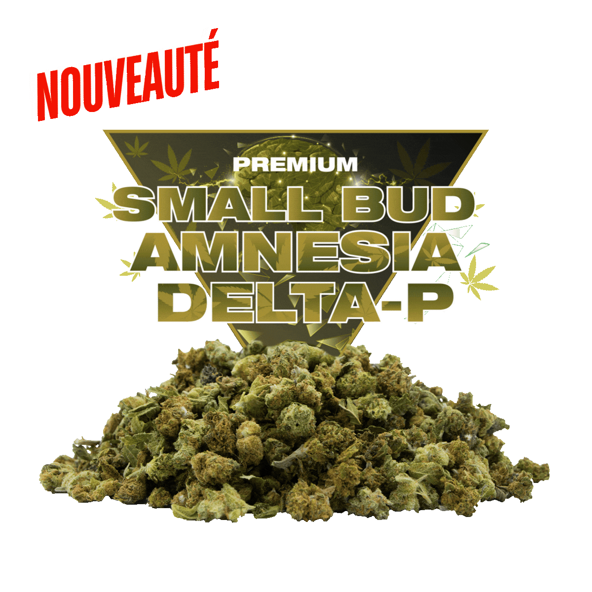 Small Bud Amnesia Delta-P 20% – Fleur Pop Corn citronnée | Golden High