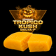 Tropico Kush Delta-P 60% – Résine Premium Golden High