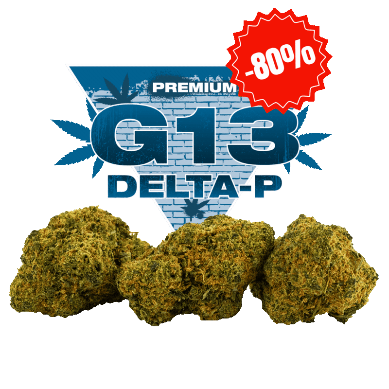 G-13 Delta-P Nouvelle Formule – Fleur CBD premium 30 % | Golden High
