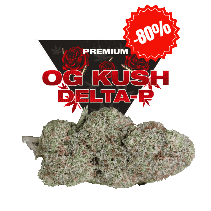 OG Kush Hydro – Fleur de CBD Premium Hydroponique | Golden High