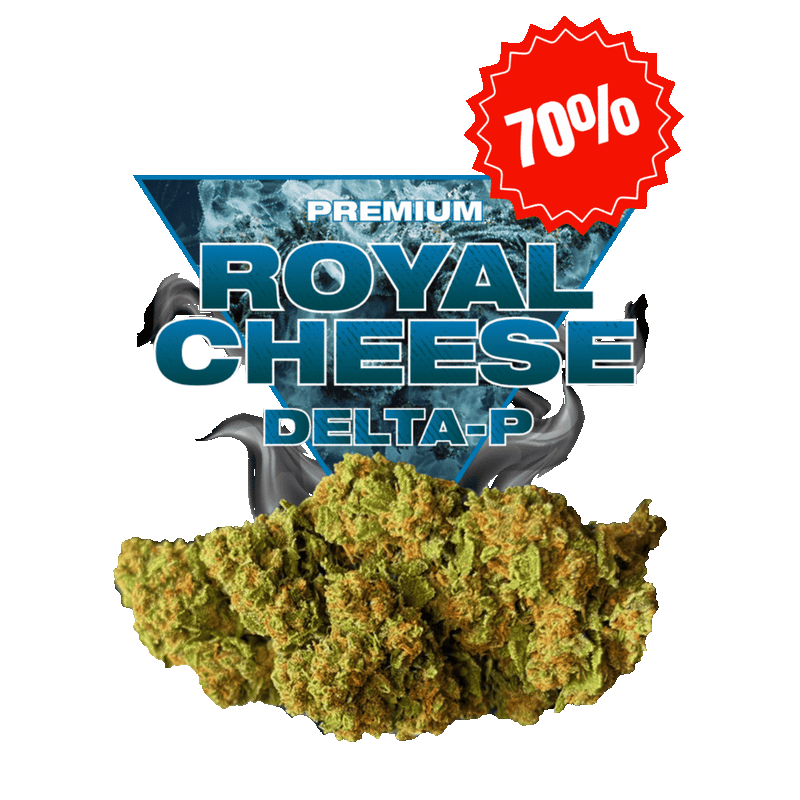 Royal Cheese Delta-P 15 % – Fleur puissante, profil Cheesy & Skunky | Golden High